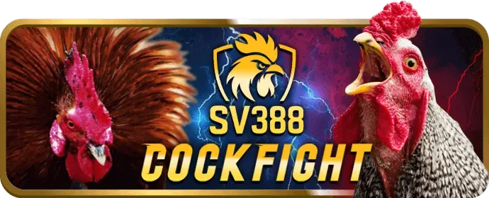 Hoàn trả cược thua đá gà Fly88
